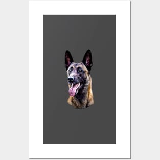 Belgian malinois Shepherd Posters and Art